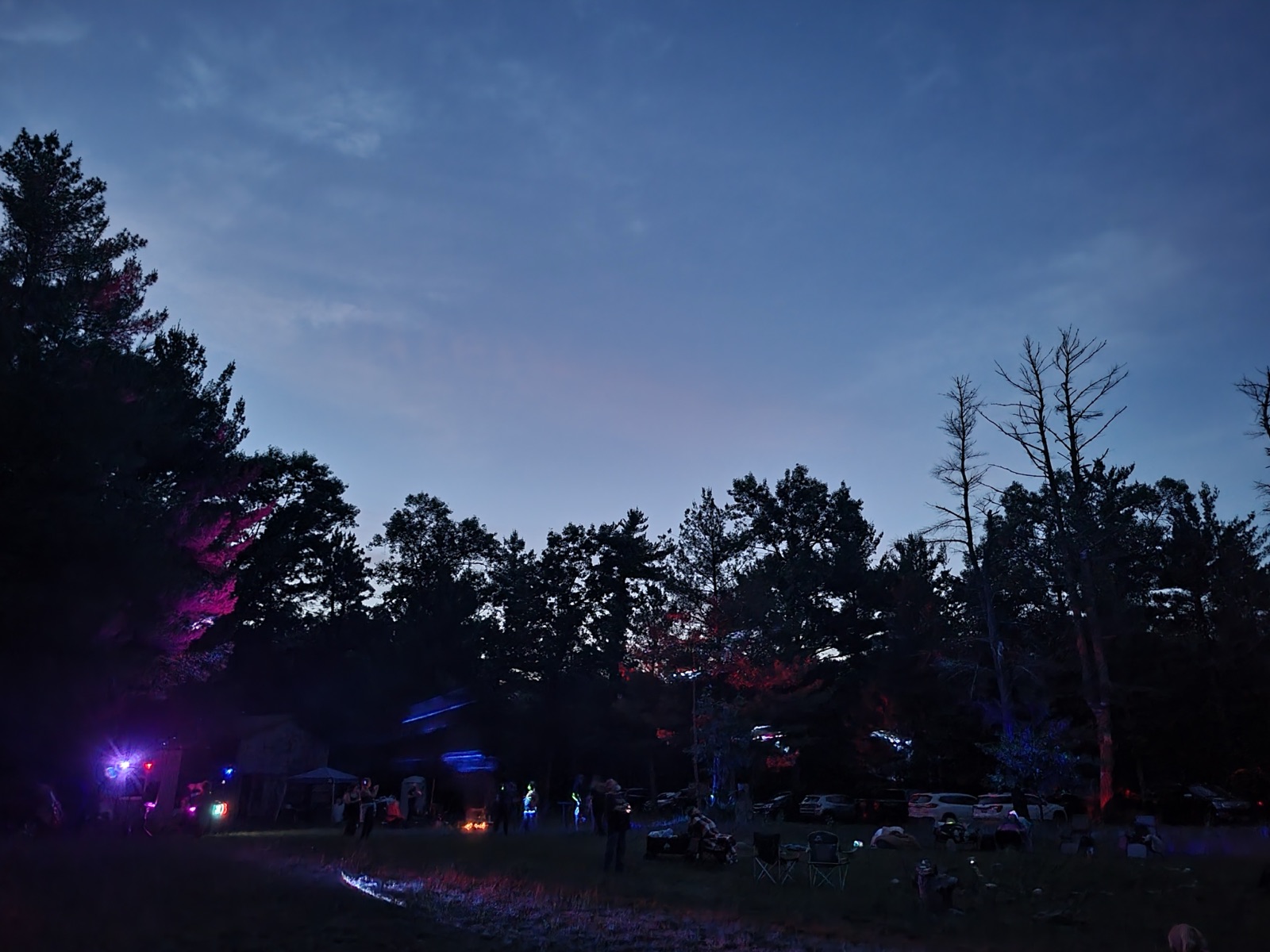 Blue and purple lights across the trees and sky at night